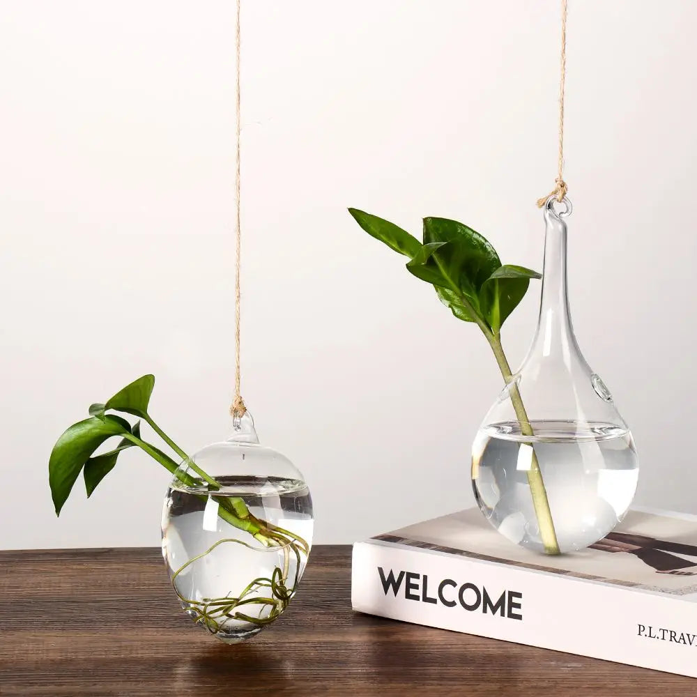 Adorable Glass Vase with Transparent Hanging Glass for Hydroponic Plant Pot Container, Birds, Angels, Peaches, and Water Droplets
