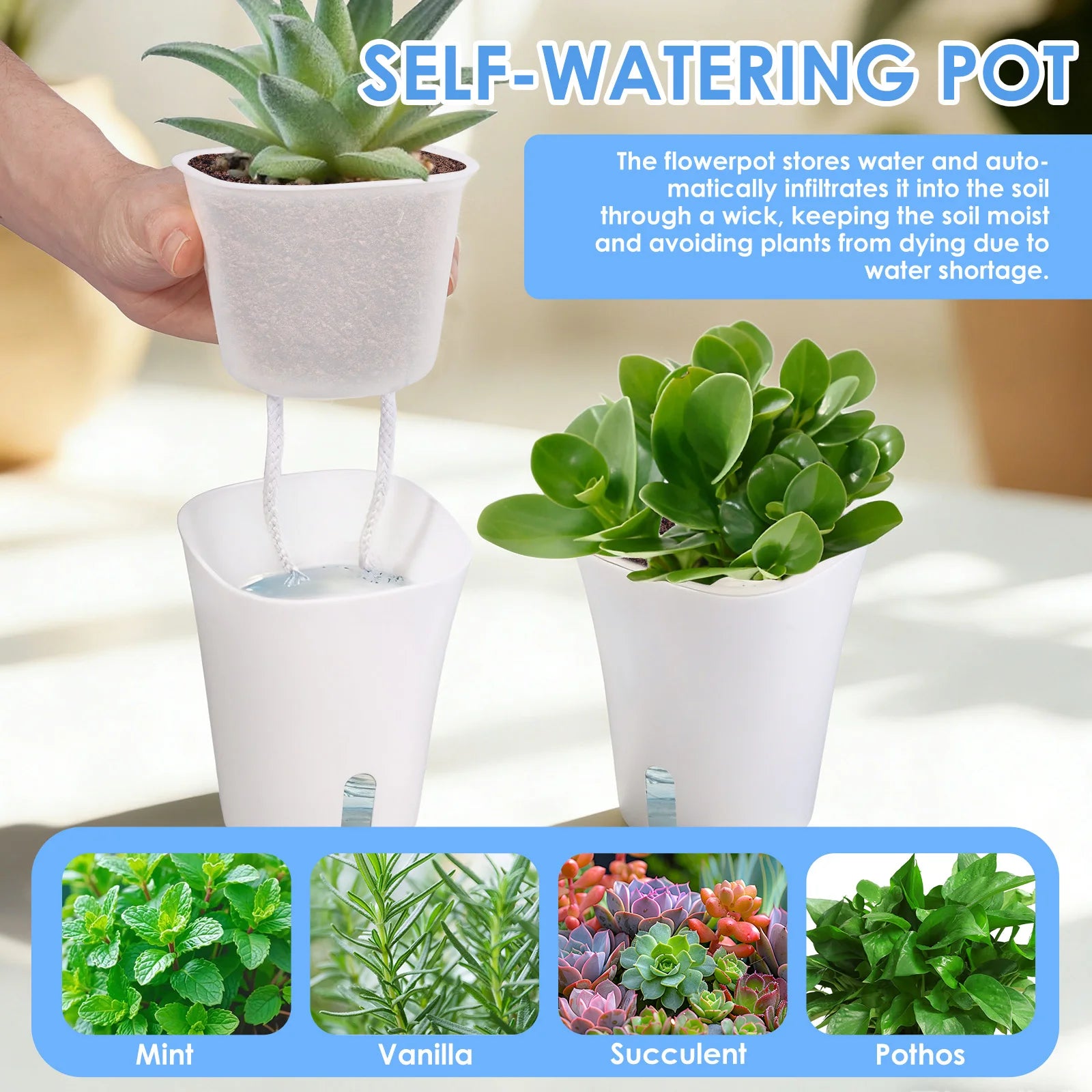 Ten Self-Watering Planters with Self-absorbing Flower Pots for Lazy Hydroponic Desktop Decorations Made of Translucent Plastic