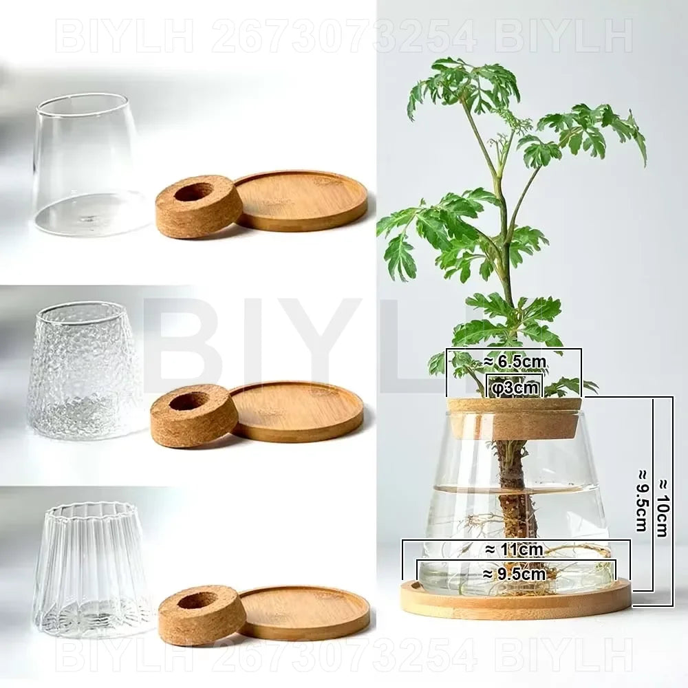 Two and a half Hydroponic Glass Flower Pots for Home Decor, Transparent Small Vase Plant Pots with Base Tray Garden Accessories