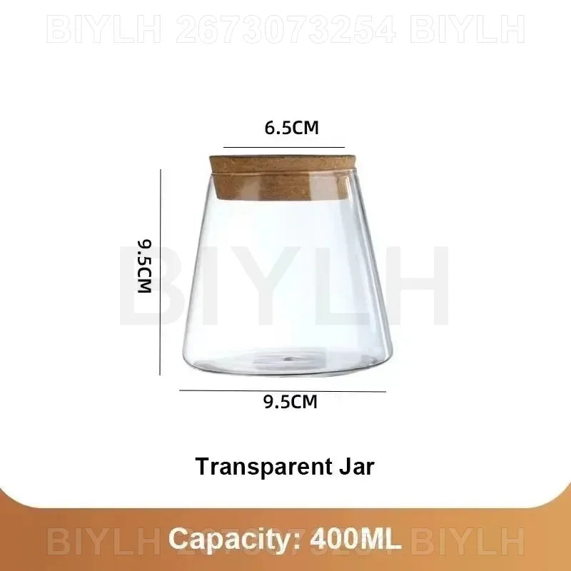 Two and a half Hydroponic Glass Flower Pots for Home Decor, Transparent Small Vase Plant Pots with Base Tray Garden Accessories