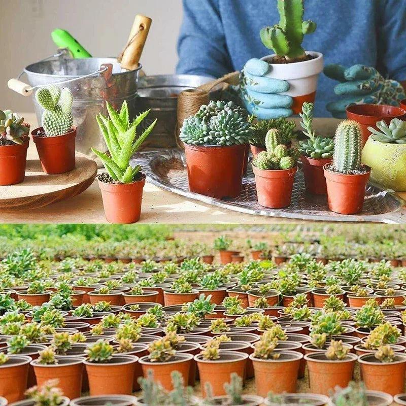 75 Flexible Plant Nursery Pots: Plastic Flower Plant Containers for Succulents, Seedlings, Cuttings, and Transplants
