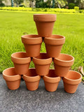 Ten pieces Pottery Planter Cactus Flower Pot Succulent Pot with Drainage, 2.2" Terra Cotta Pots Hole: Perfect for Crafts and Plants