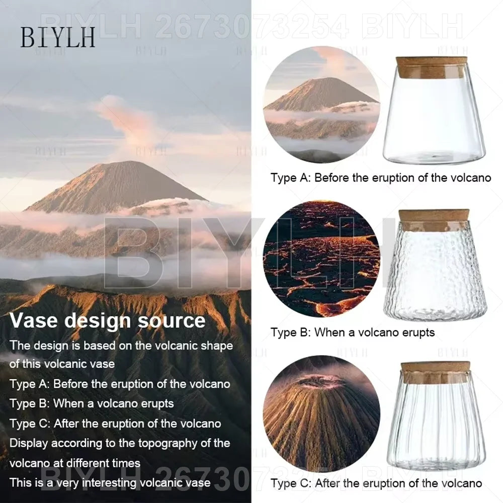 Two and a half Hydroponic Glass Flower Pots for Home Decor, Transparent Small Vase Plant Pots with Base Tray Garden Accessories