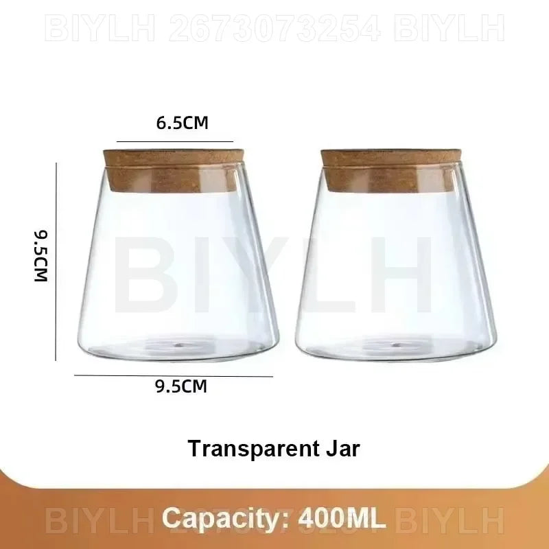 Two and a half Hydroponic Glass Flower Pots for Home Decor, Transparent Small Vase Plant Pots with Base Tray Garden Accessories