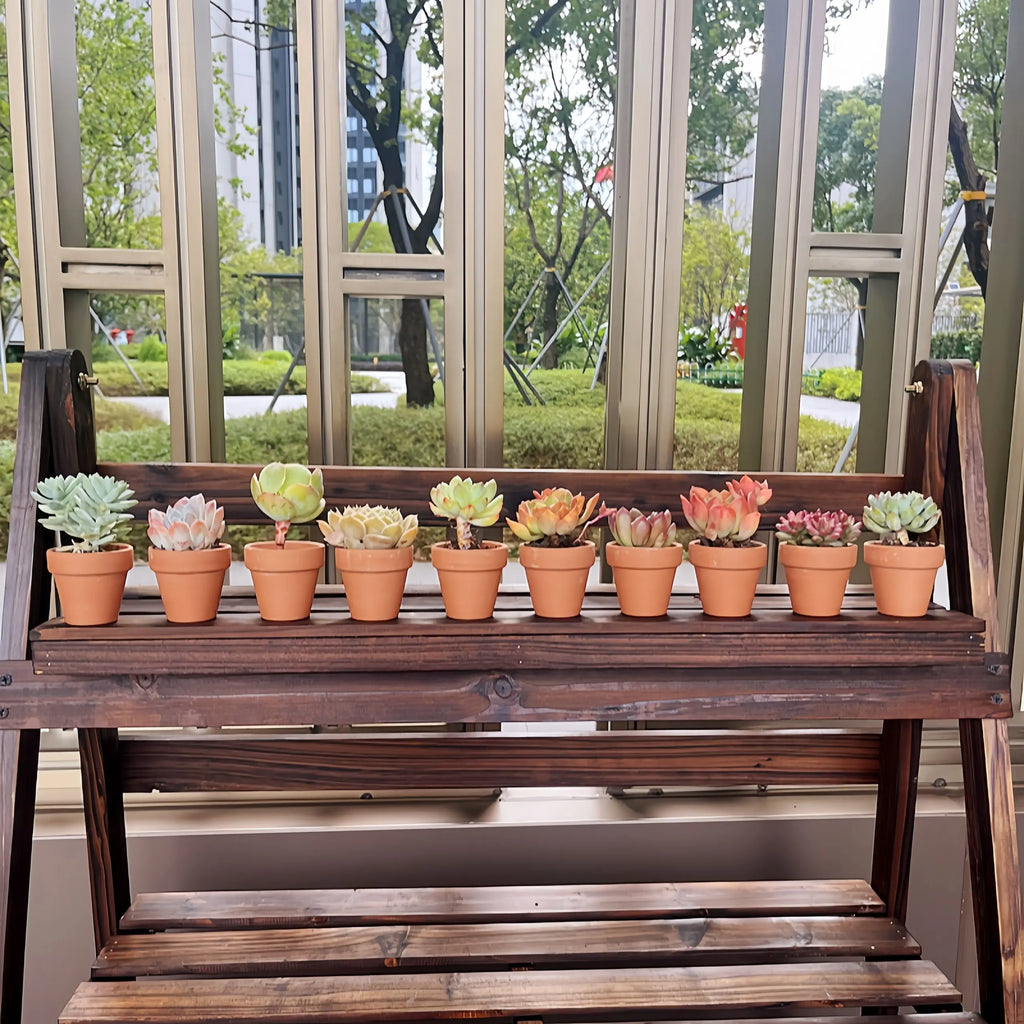 Ten pieces Pottery Planter Cactus Flower Pot Succulent Pot with Drainage, 2.2" Terra Cotta Pots Hole: Perfect for Crafts and Plants