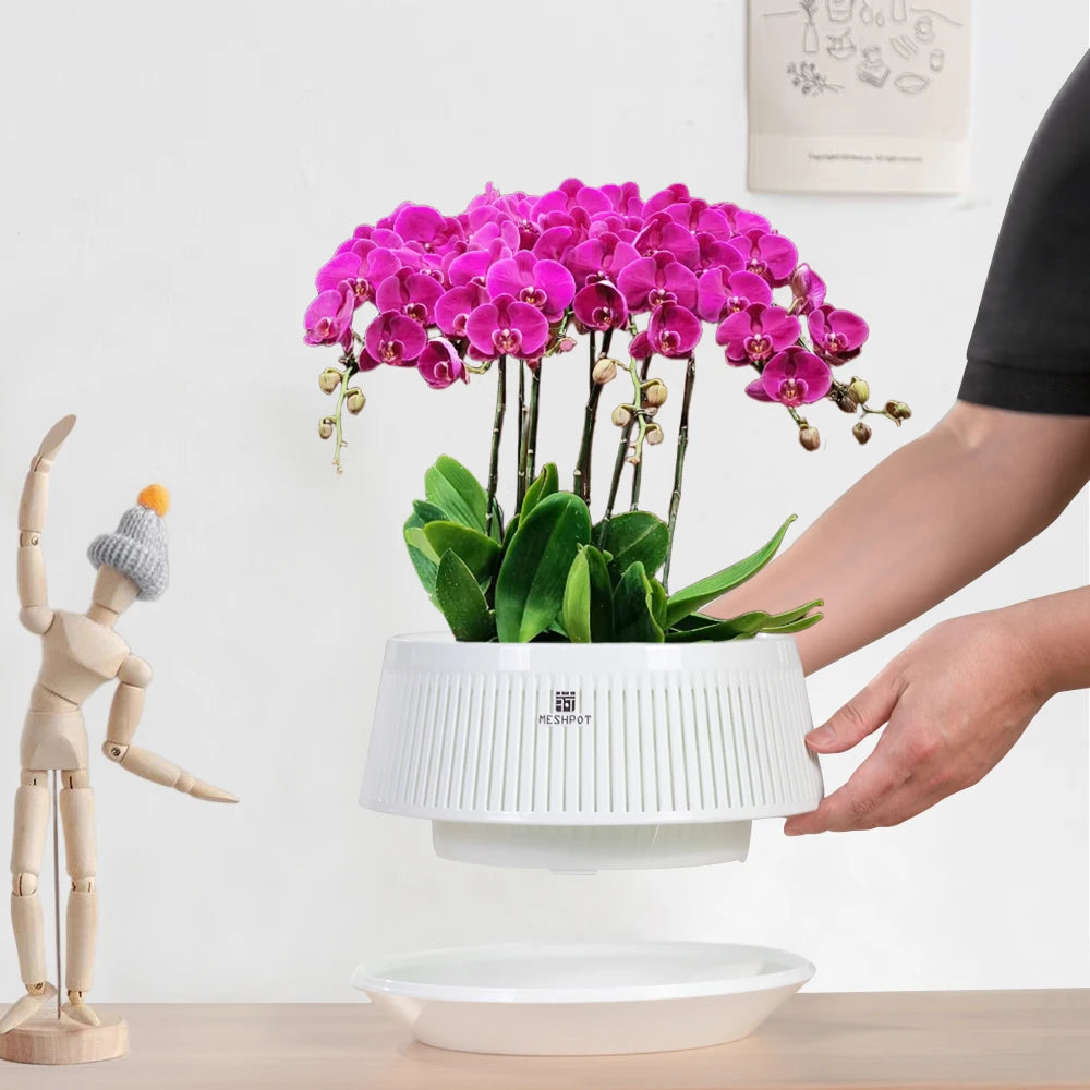 Orchid Meshpot with Holes African violet ornamental flower pots with adequate air circulation and air pruning