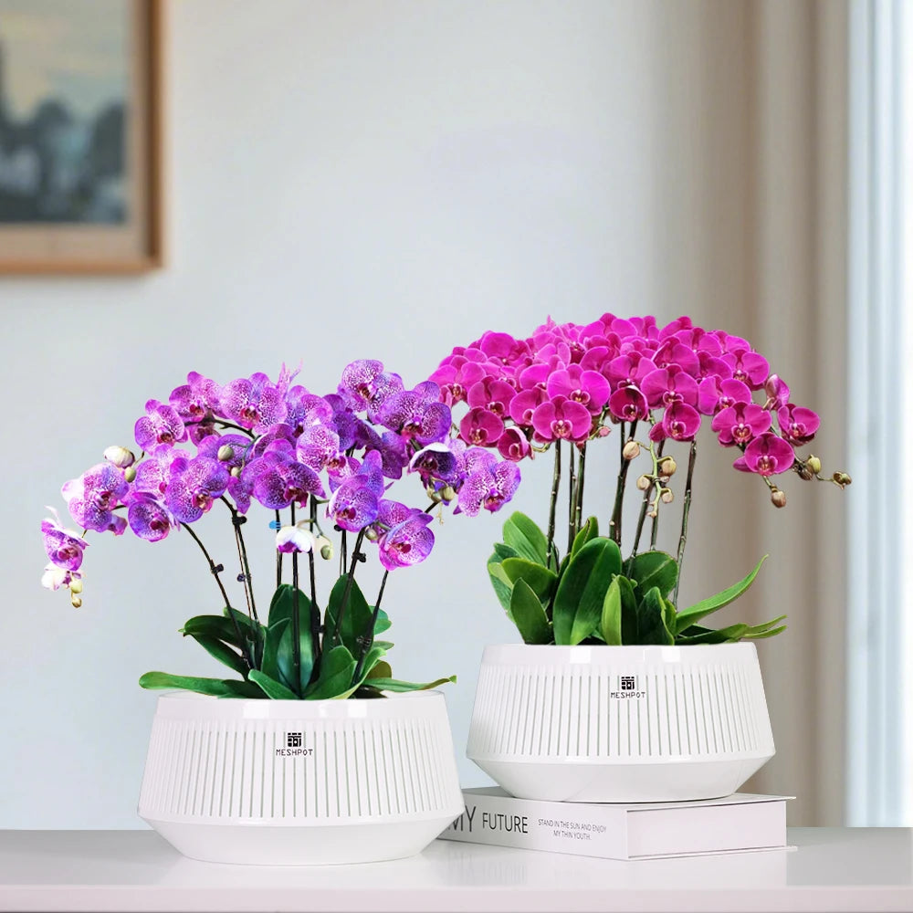 Orchid Meshpot with Holes African violet ornamental flower pots with adequate air circulation and air pruning