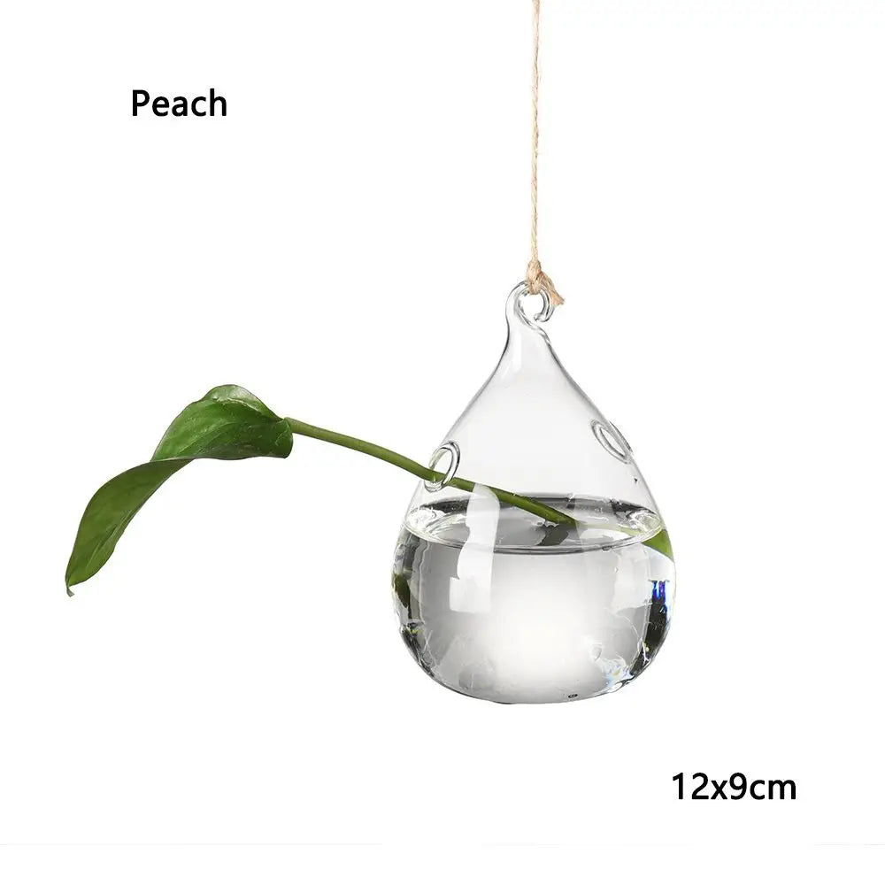 Adorable Glass Vase with Transparent Hanging Glass for Hydroponic Plant Pot Container, Birds, Angels, Peaches, and Water Droplets