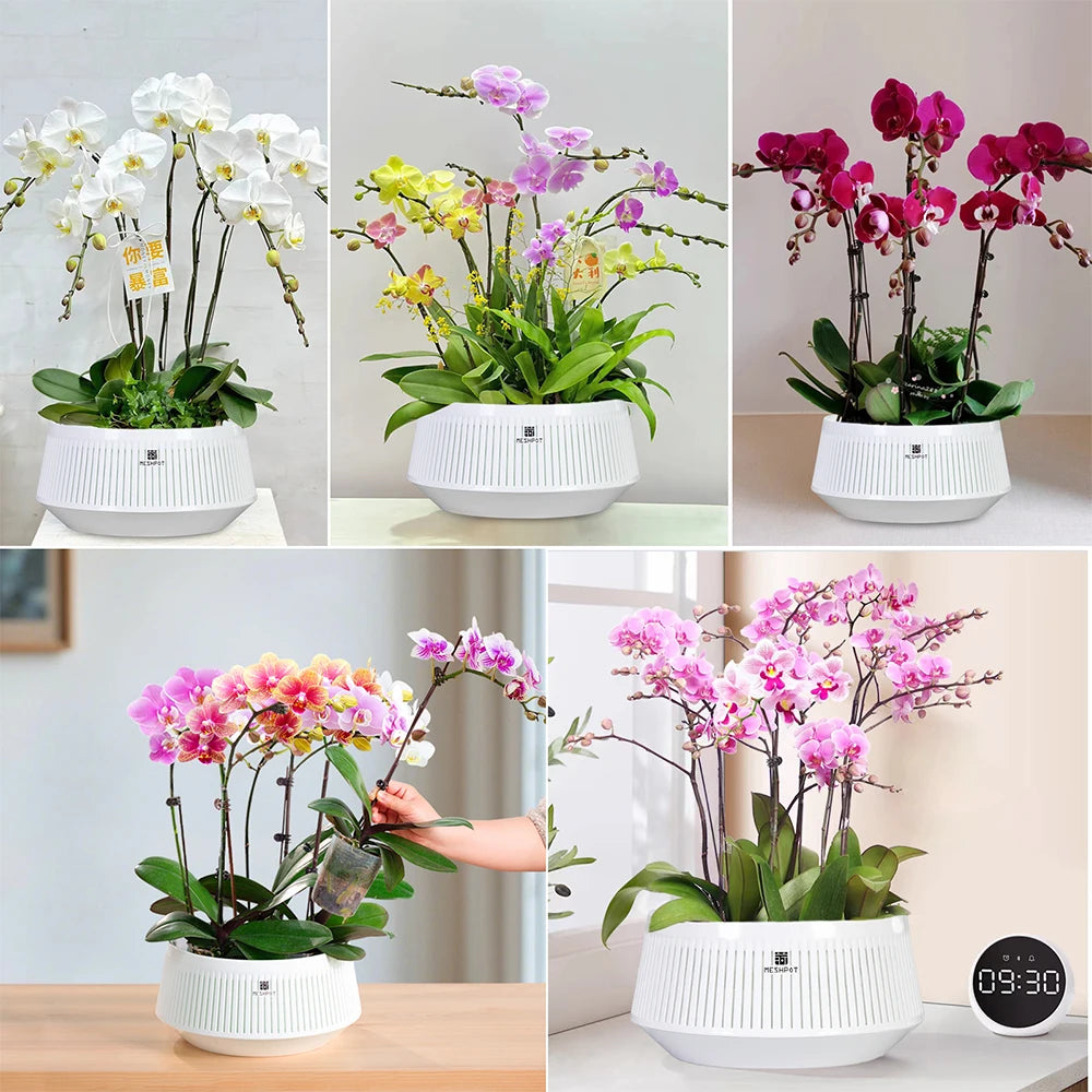 Orchid Meshpot with Holes African violet ornamental flower pots with adequate air circulation and air pruning