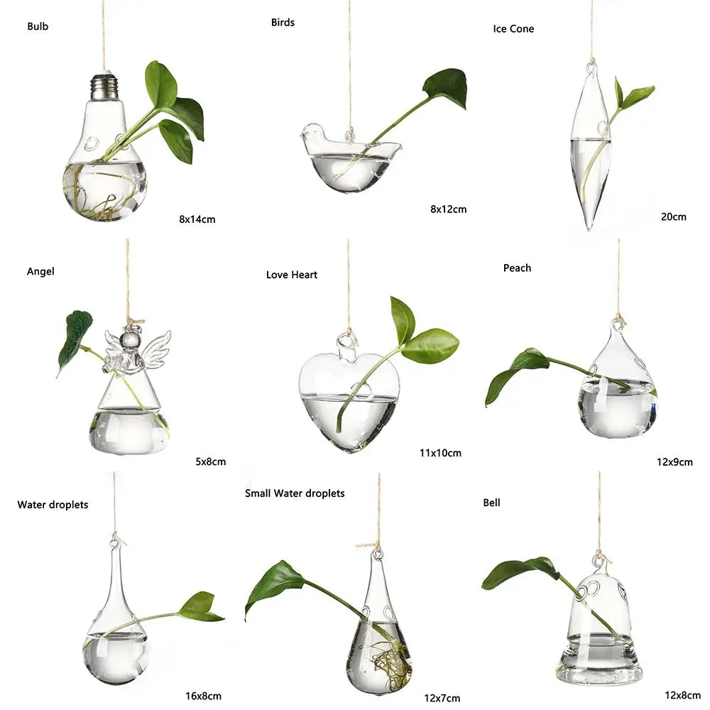 Adorable Glass Vase with Transparent Hanging Glass for Hydroponic Plant Pot Container, Birds, Angels, Peaches, and Water Droplets