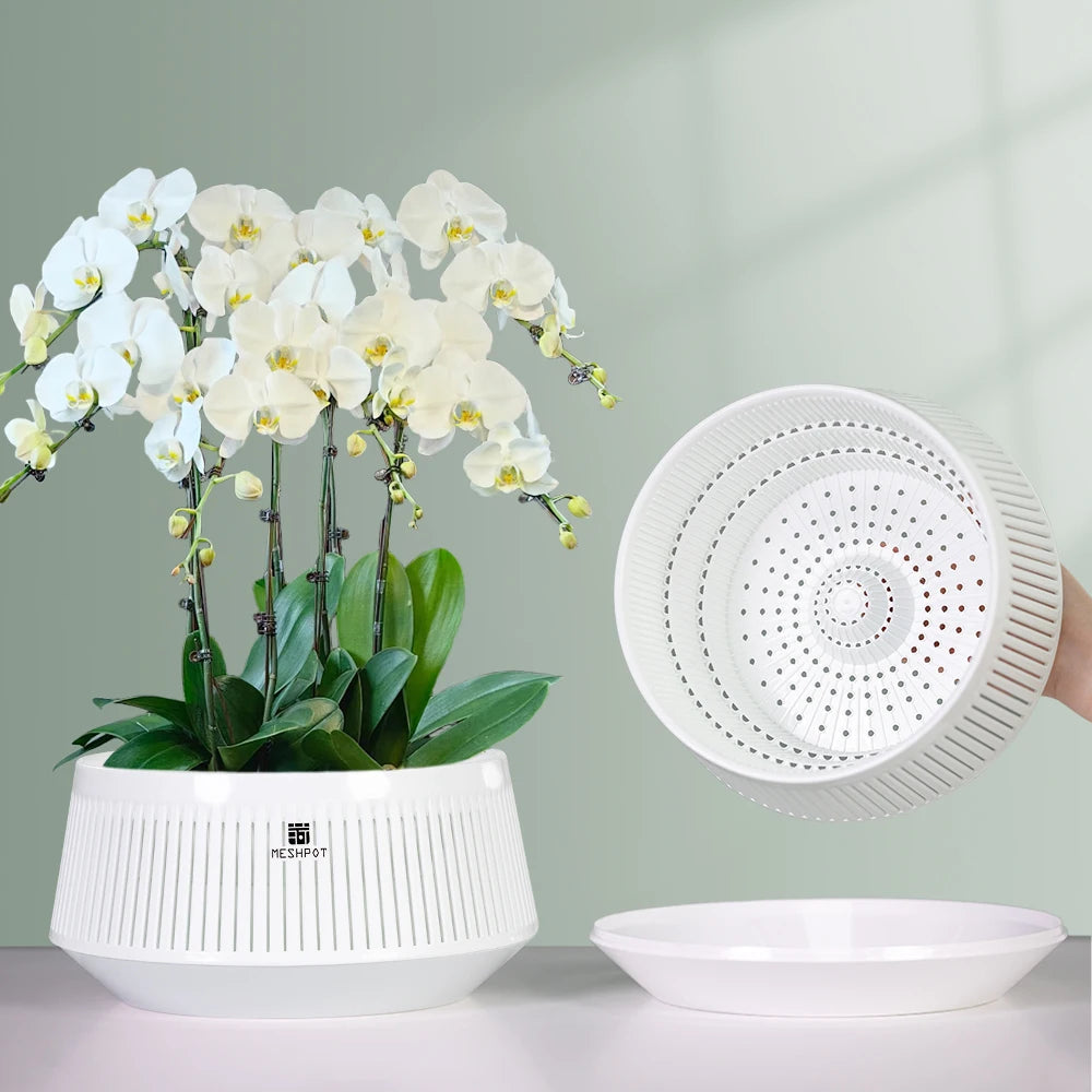 Orchid Meshpot with Holes African violet ornamental flower pots with adequate air circulation and air pruning