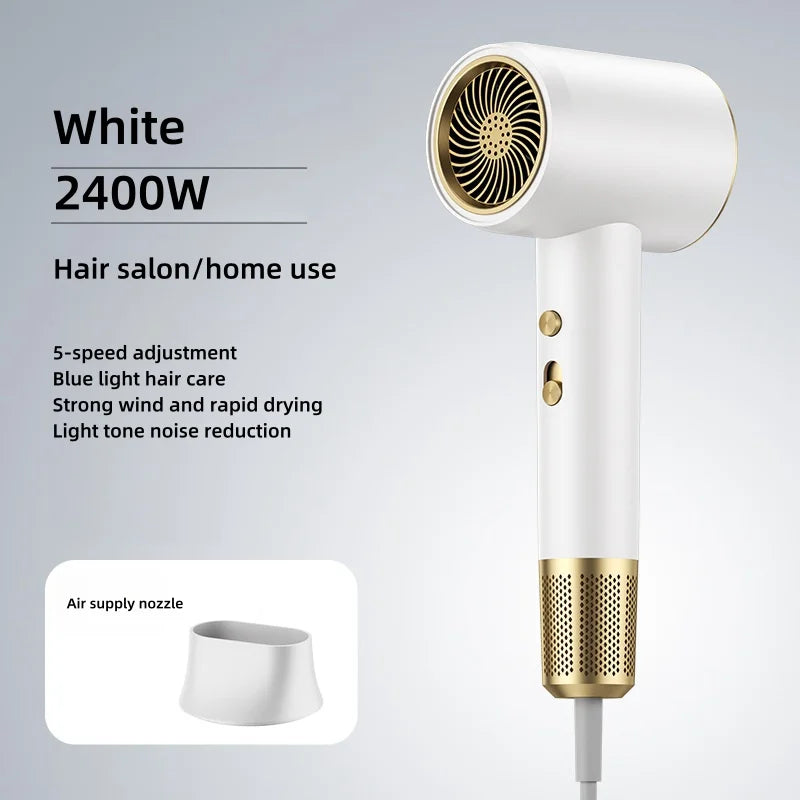 Manufacturer's Direct Selling 2400w High-Power Negative Ion Blue Light Hair Dryer for Home and Salon Use