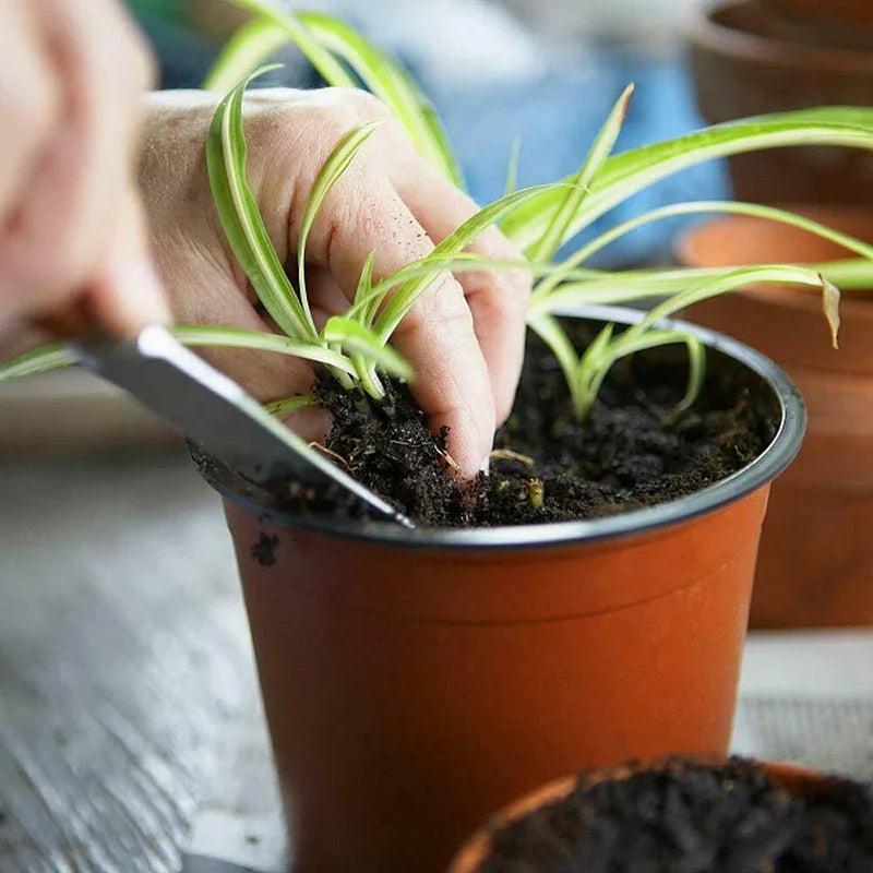 75 Flexible Plant Nursery Pots: Plastic Flower Plant Containers for Succulents, Seedlings, Cuttings, and Transplants