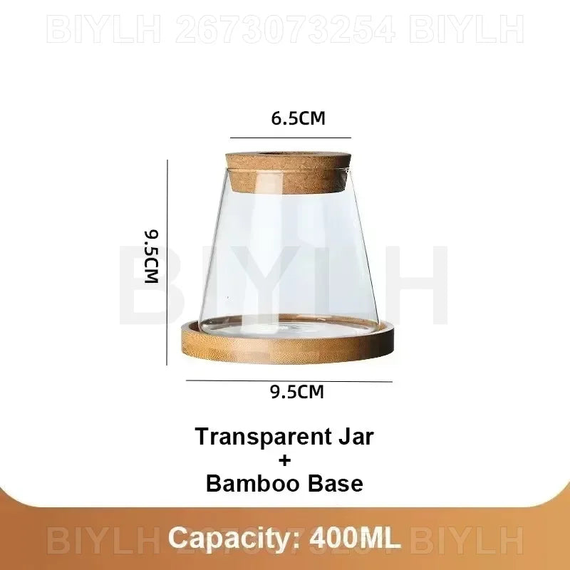 Two and a half Hydroponic Glass Flower Pots for Home Decor, Transparent Small Vase Plant Pots with Base Tray Garden Accessories